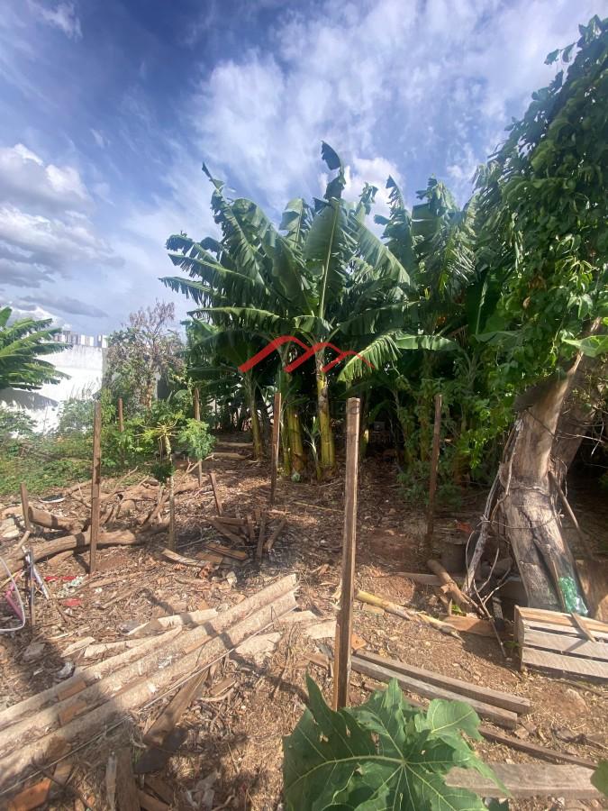 Terreno, 250 m² - Foto 3