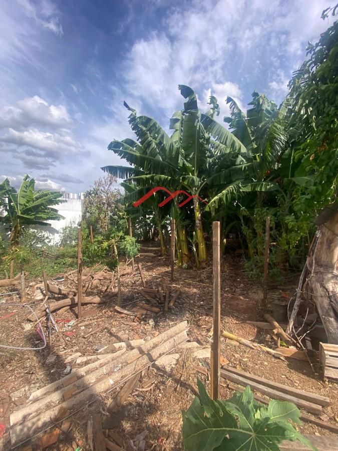 Terreno, 250 m² - Foto 5