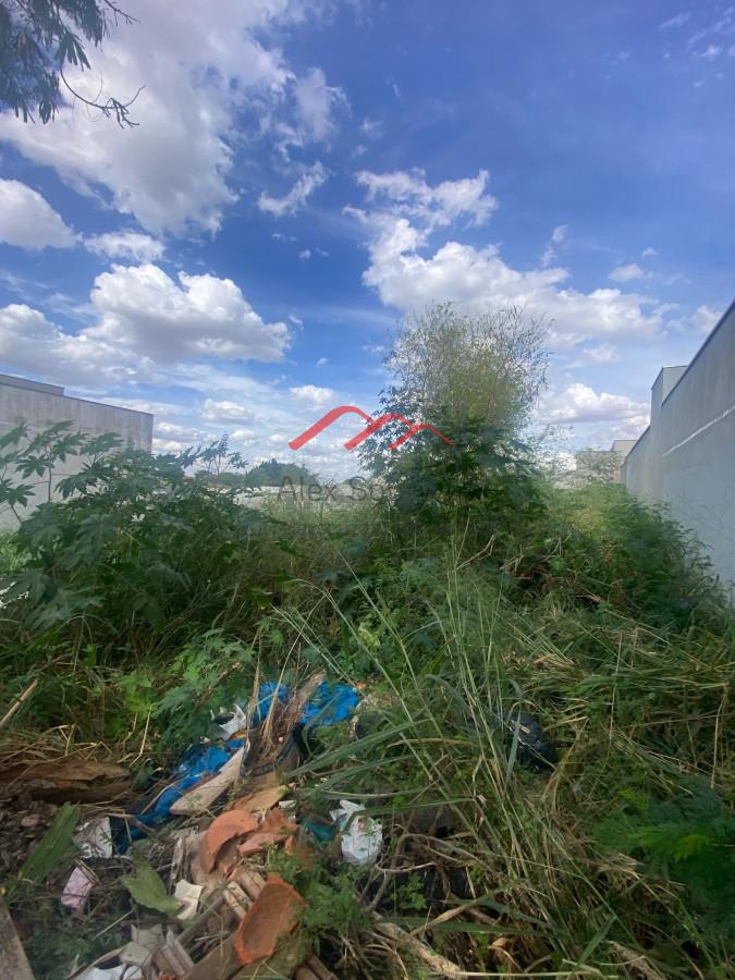 Terreno, 250 m² - Foto 1