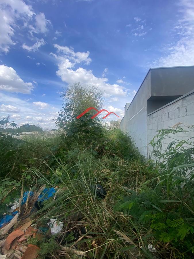 Terreno, 250 m² - Foto 2