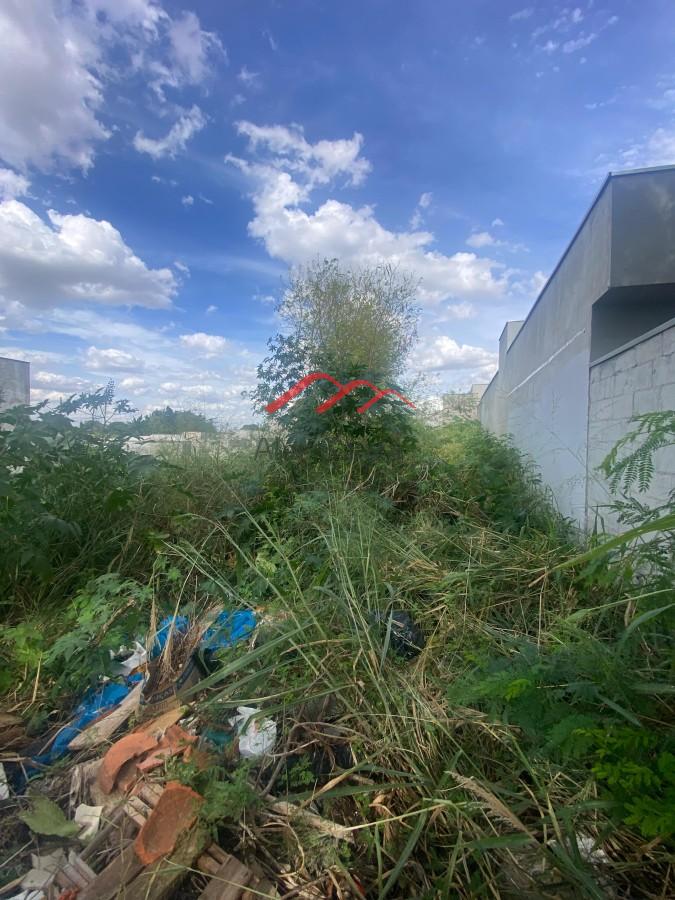 Terreno, 250 m² - Foto 4
