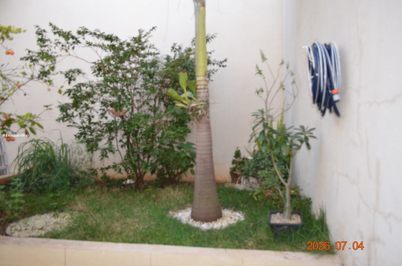 Casa, 3 quartos, 160 m² - Foto 31